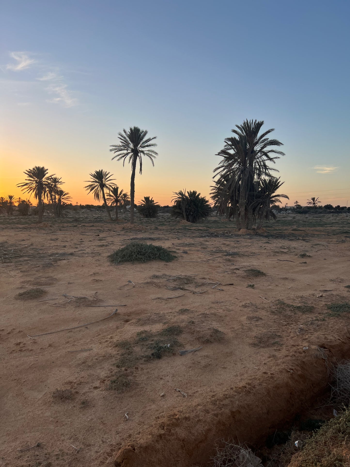 TERRAIN AGRICOLE 5 000 m²