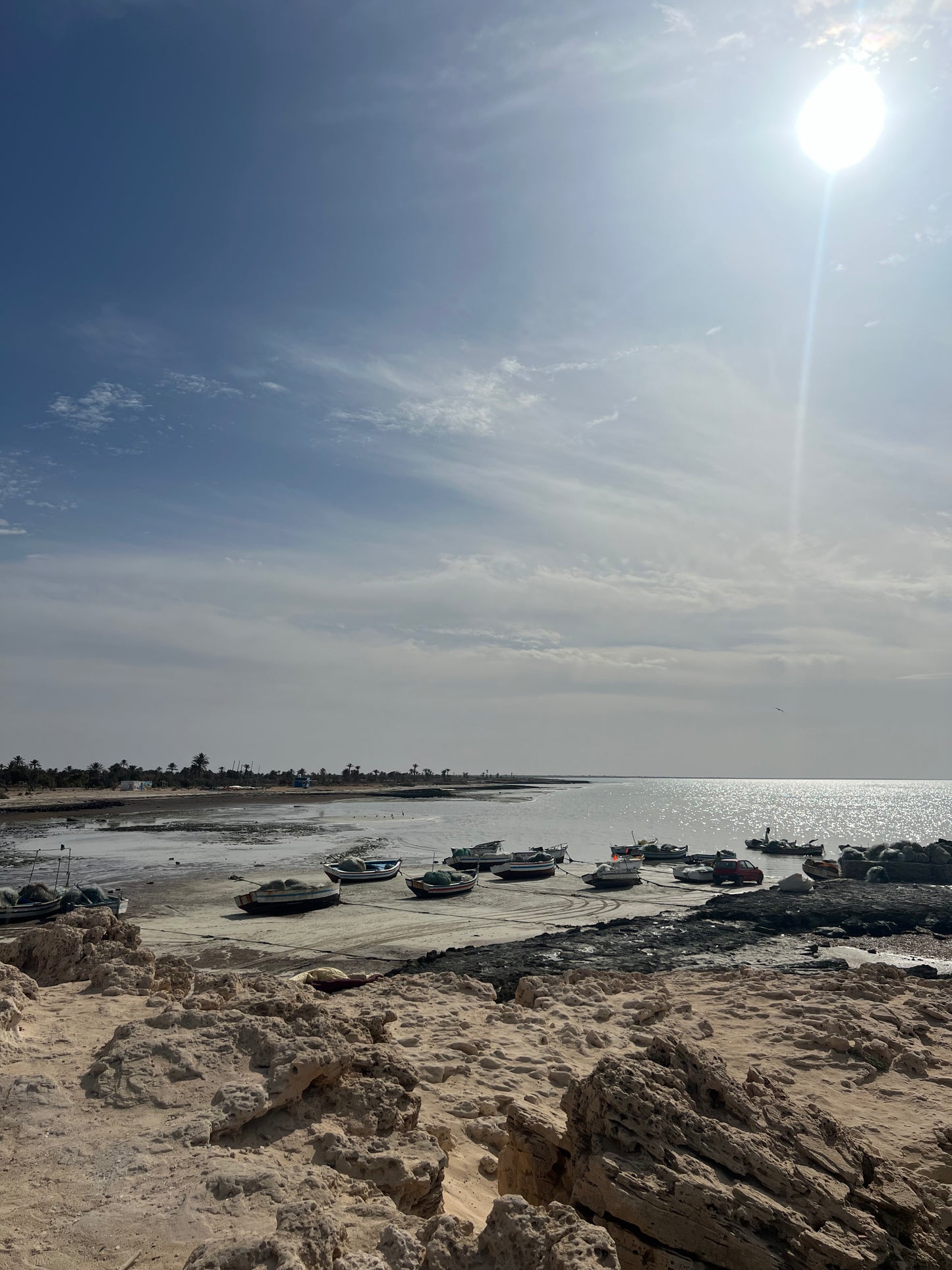 TERRAIN EN BORD DE MER 12 Ha